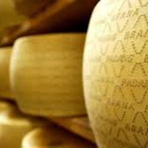 Granapadano1